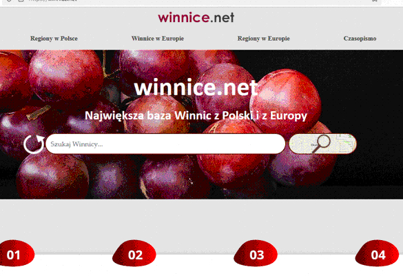 winnice.net